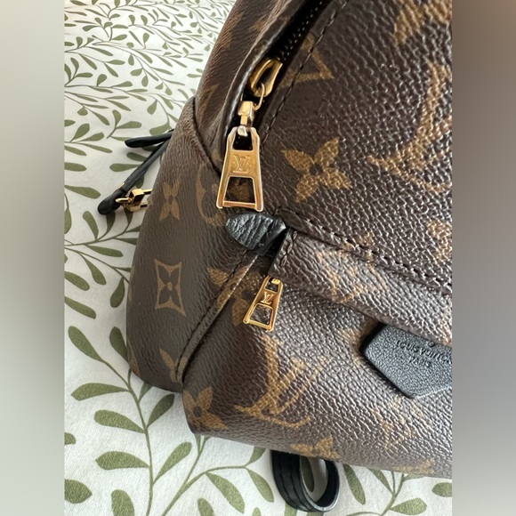 Louis Vuitton Palm Springs Mini - Picture 4 of 12